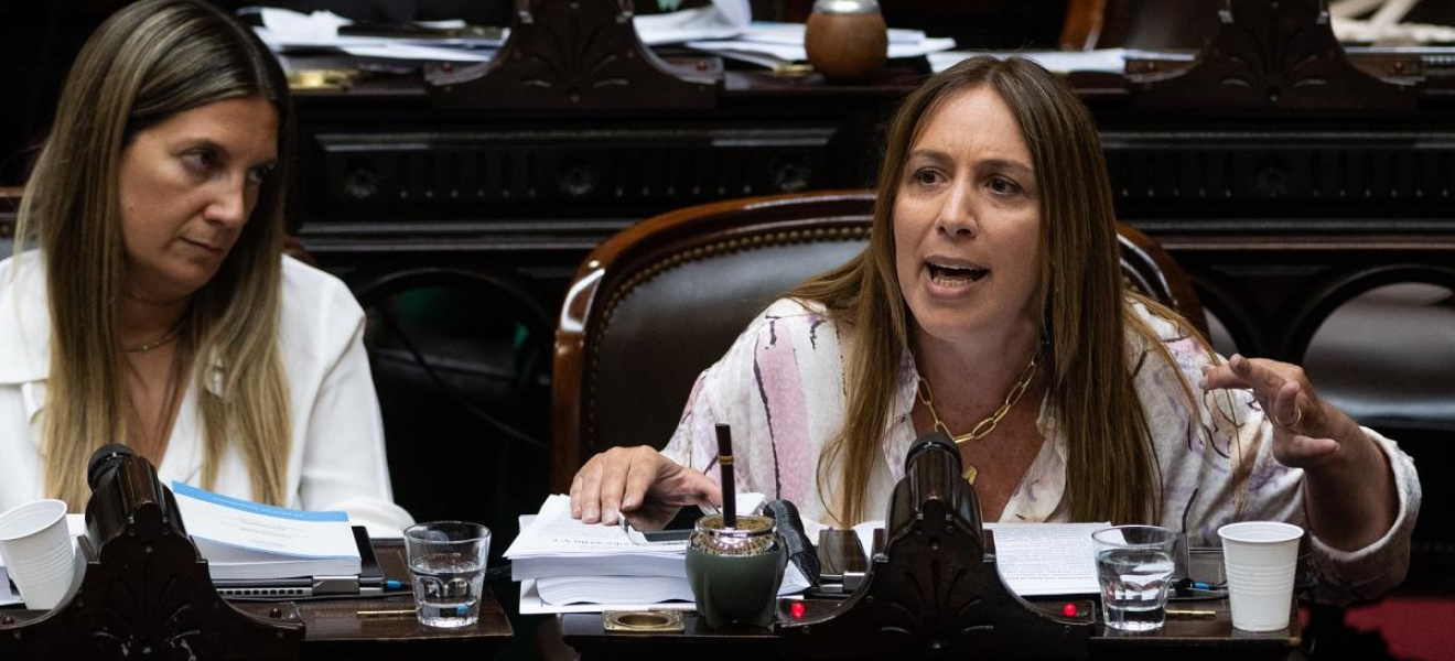 Vidal: El bloque del PRO va a votar a favor de todos los artículos