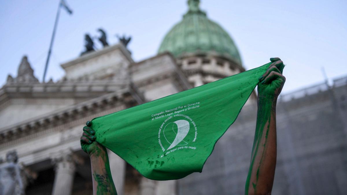 Diputados de La Libertad Avanza presentaron un proyecto para derogar la ley del aborto legal