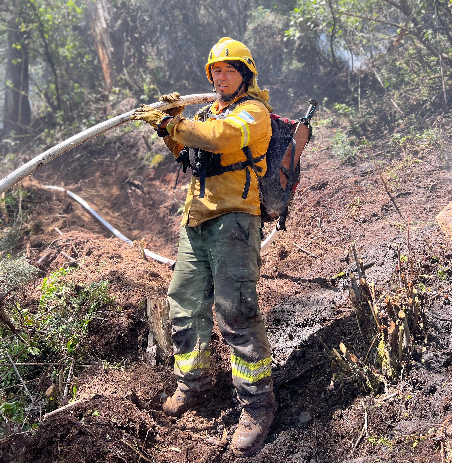 Bariloche: Trabajo intenso para combatir el incendio en el Brazo Tristeza