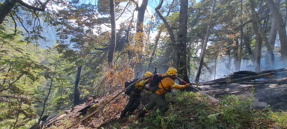 Bariloche: Investigan el origen del incendio y continúan los trabajos en el Brazo Tristeza