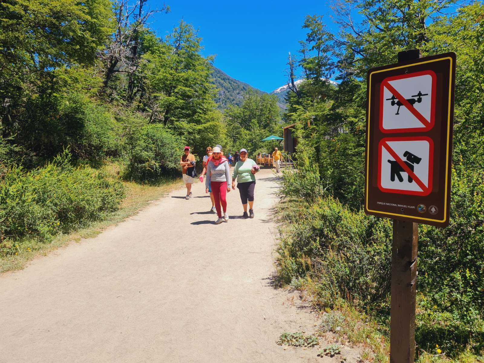 Bariloche: Cómo disfrutar el fin de semana en el Parque Nacional Nahuel Huapi