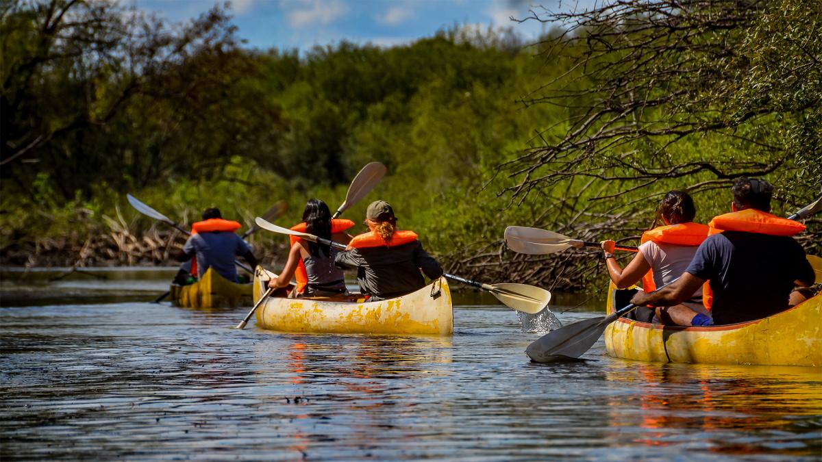 Gobernaciones, organismos y ecologistas reforzaron sus campañas de turismo responsable