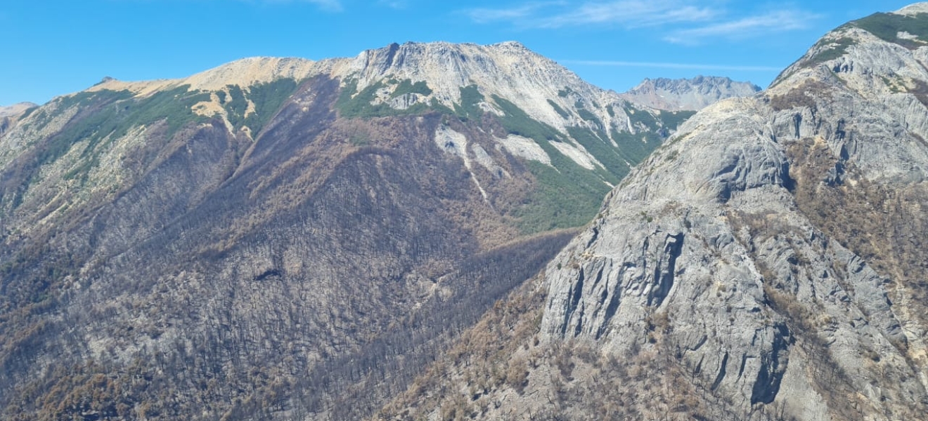 Bariloche: más de 600 hectáreas consumidas por el incendio en Arroyo Cretón-Brazo Tristeza