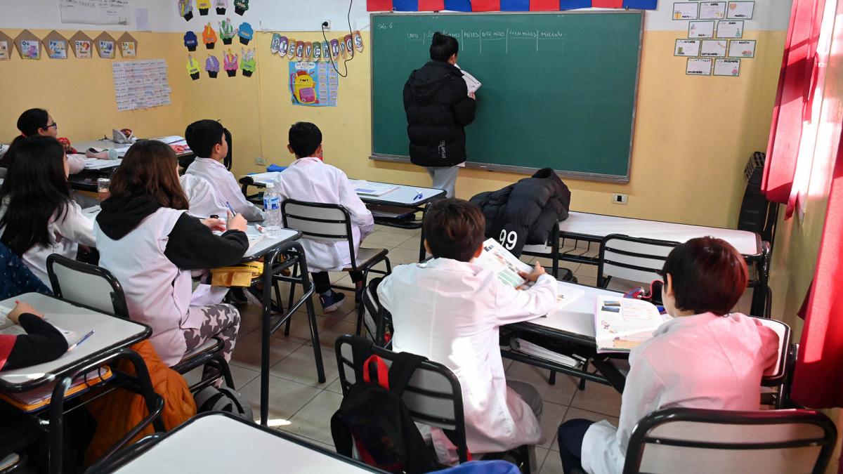 A días del inicio de clases Nación evalúa declarar la educación servicio esencial