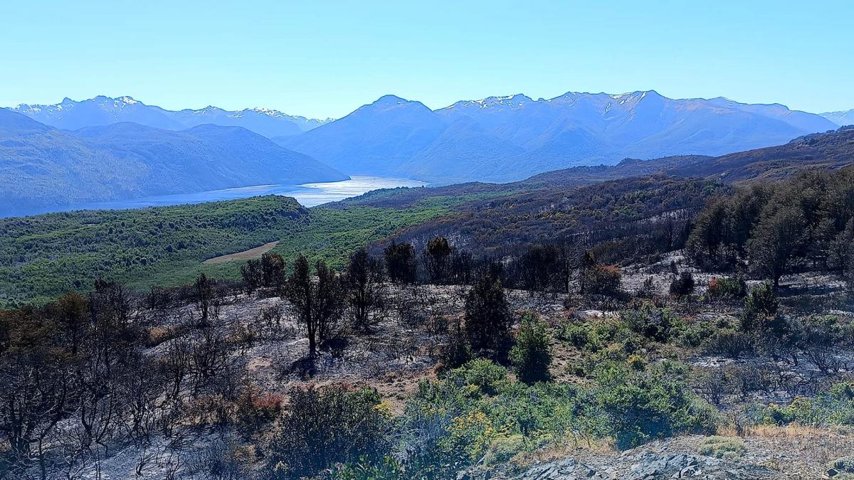 Lograron controlar en todos los sectores el incendio del Parque Nacional Los Alerces