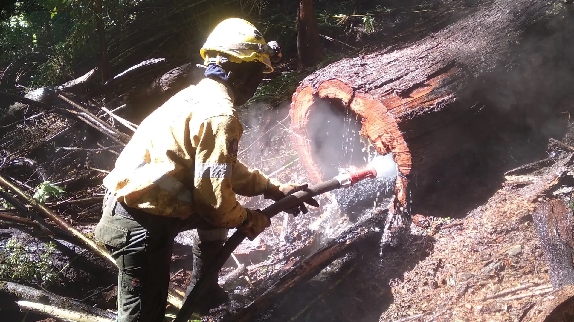 Bariloche: El SPLIF continúa cooperando contra el Incendio en Brazo Tristeza