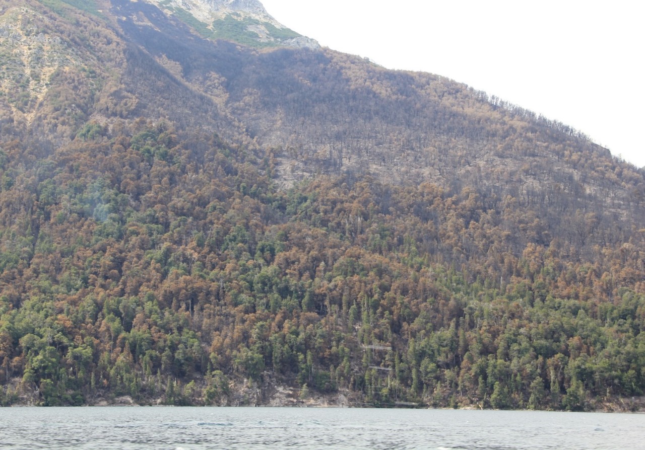 Bariloche: Actualización incendio Arroyo Cretón - Brazo Tristeza