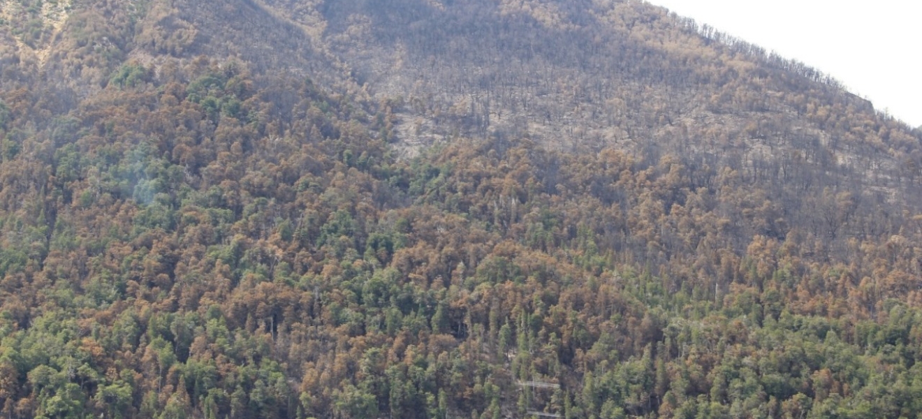 Bariloche: Actualización incendio Arroyo Cretón - Brazo Tristeza