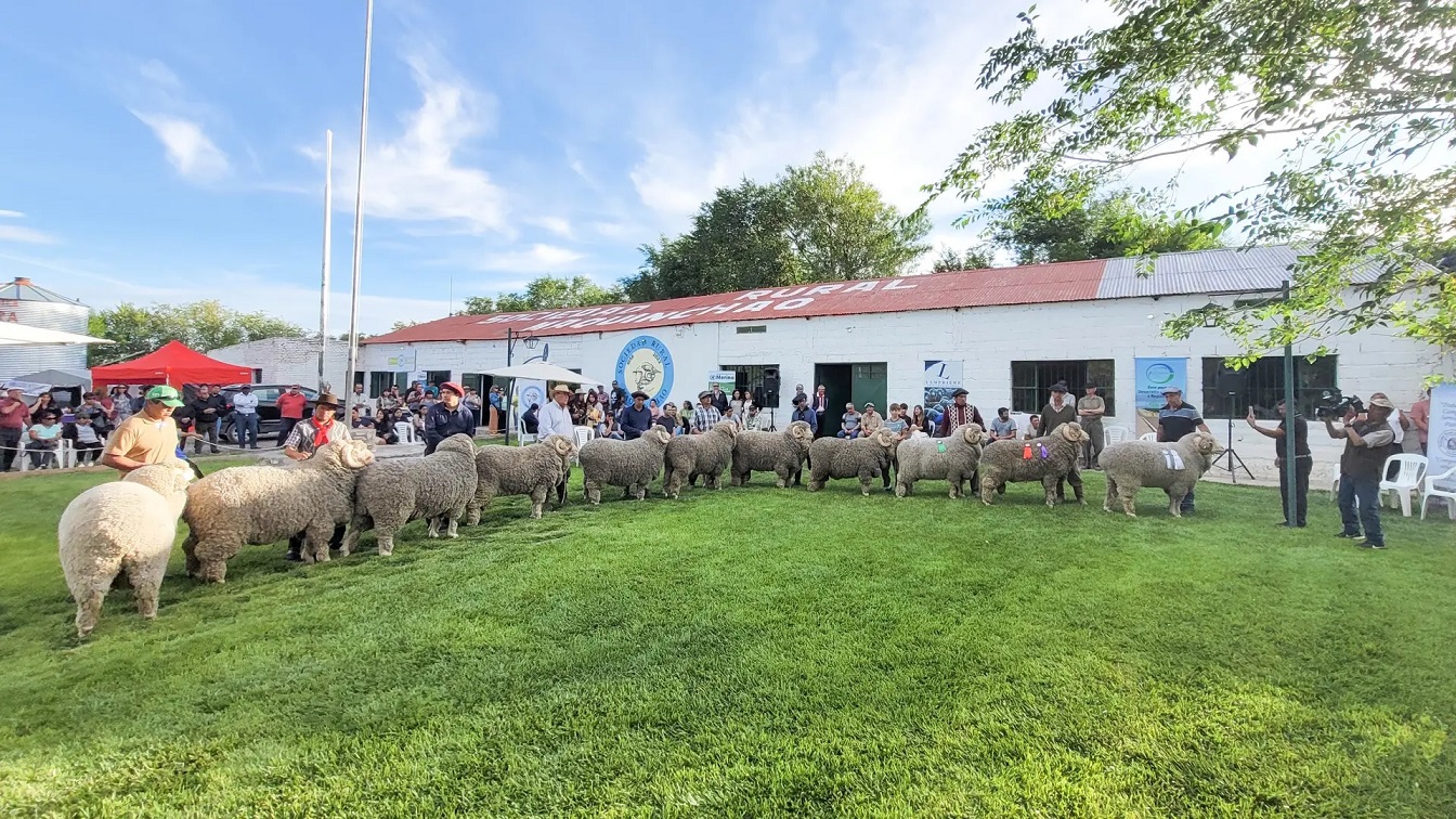 Finalizó con éxito la 14° Edición de la Exposición Ganadera en Maquinchao