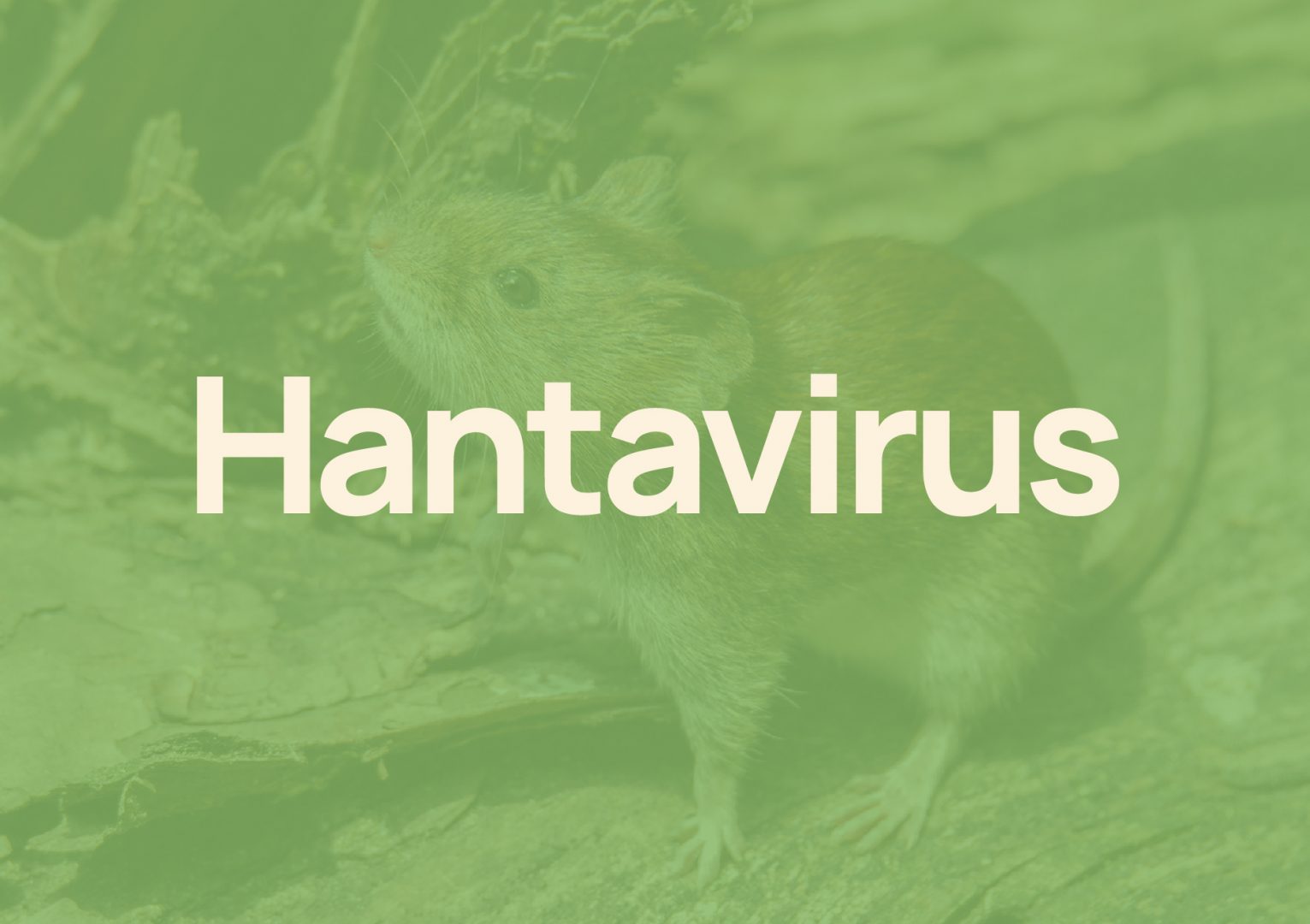 No tiene contactos estrechos el caso de hantavirus de San Martín de los Andes