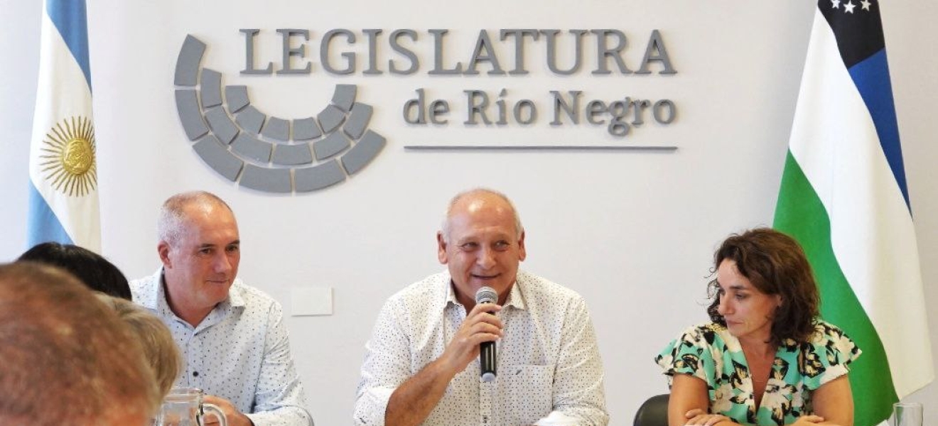 (((video))) Río Negro: Zgaib quedó a cargo de la comisión de Asuntos Sociales