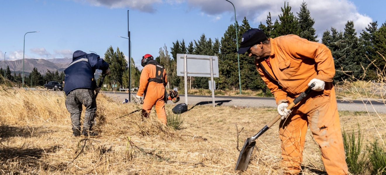 Desmalezan el ingreso norte a Bariloche