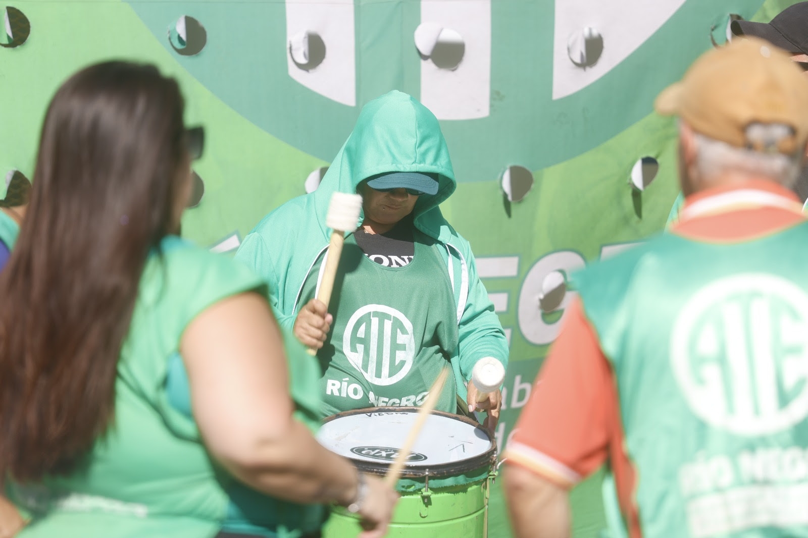 Medidas de fuerza en organismos nacionales de Rio Negro