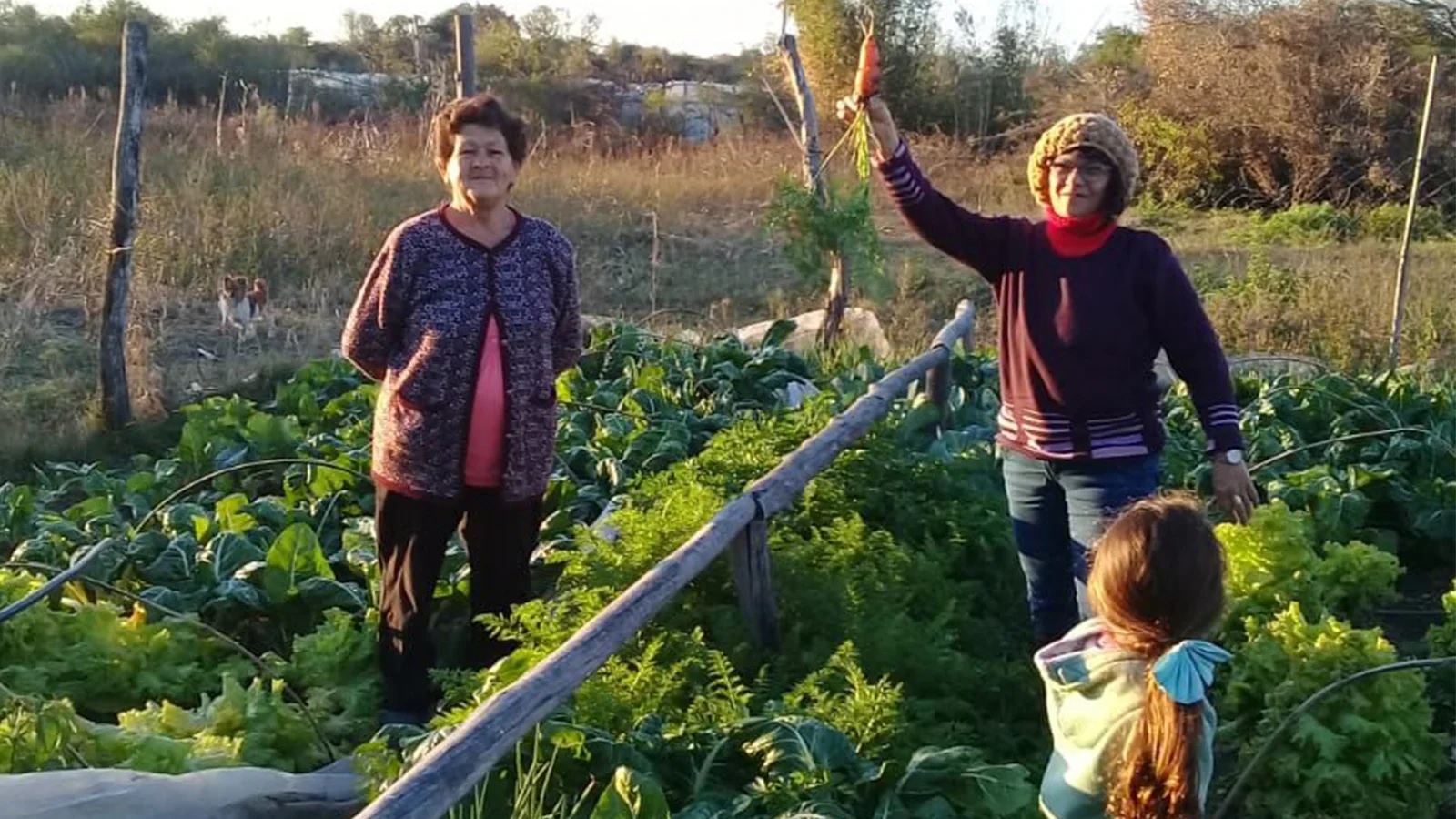 Fuerte rechazo al cierre del Instituto Nacional de Agricultura Familiar, Campesina e Indígena