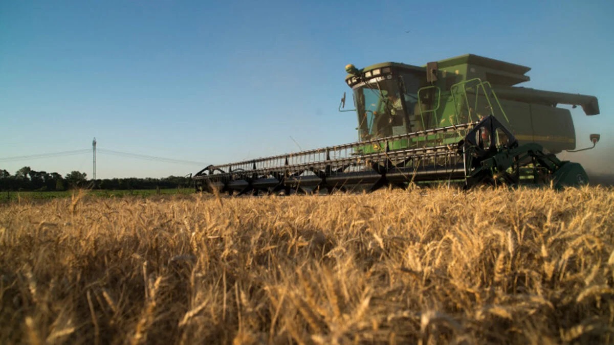 Pequeños y medianos productores piden a Milei una baja en las retenciones como prometió