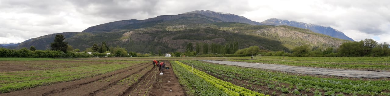 Agricultura diversificada: generando sinergias ambientales y sociales