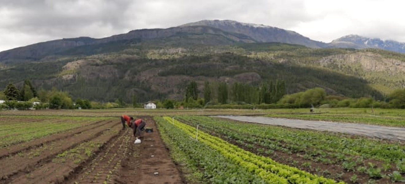 Agricultura diversificada: generando sinergias ambientales y sociales