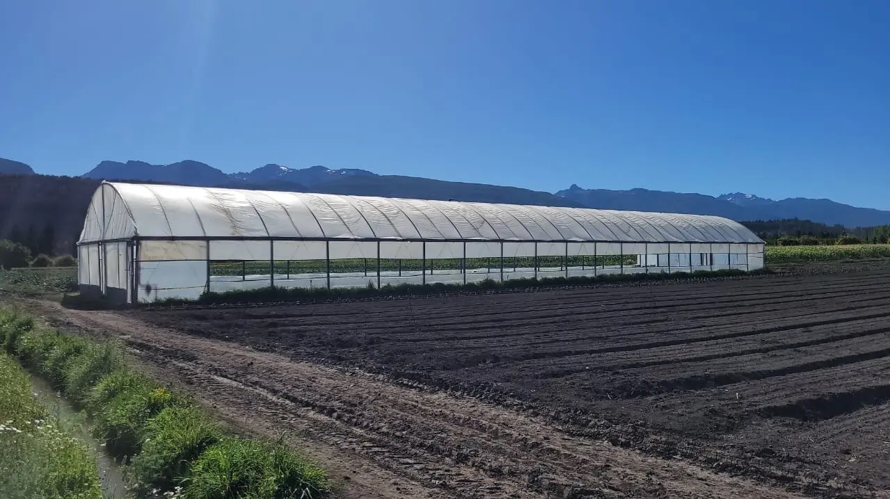 Río Negro trabaja en estrategias para el desarrollo productivo