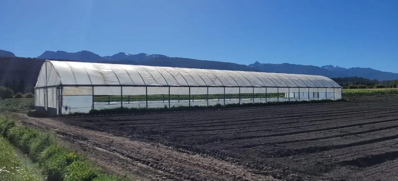 Río Negro trabaja en estrategias para el desarrollo productivo