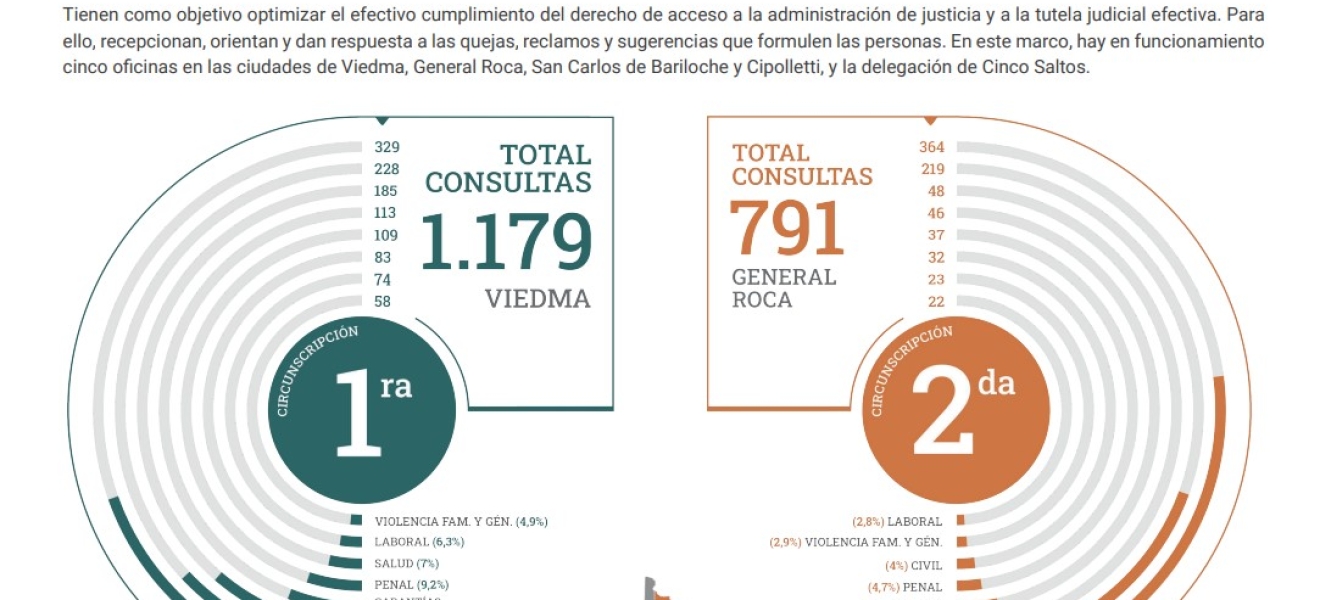 Oficina de Atención en Río Negro: asuntos de familia, salud y amparos lideran las consultas