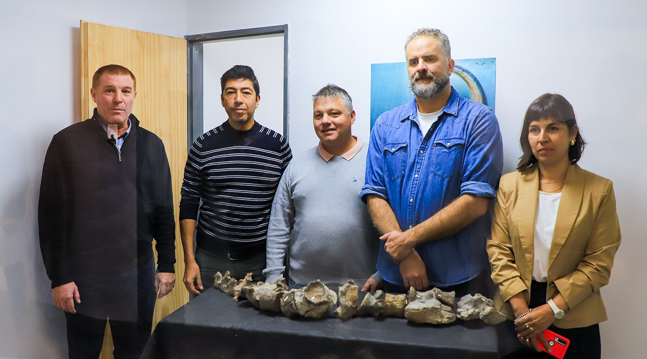 Un plesiosaurio descubierto en la Antártida fue analizado en Neuquén