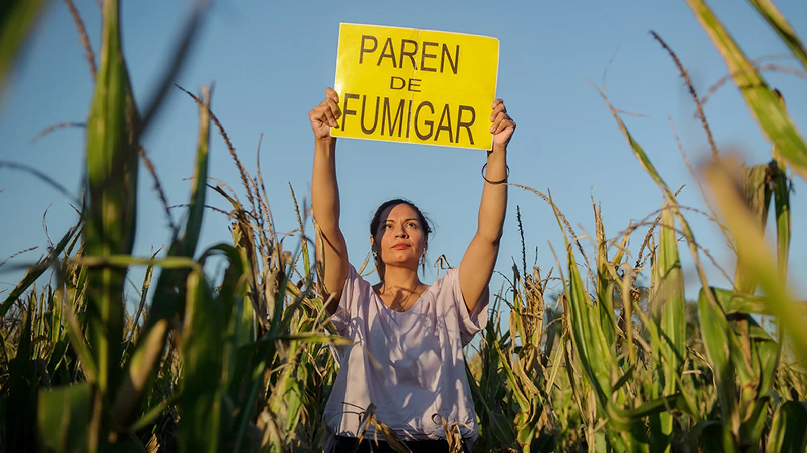 Bayer fue denunciada ante la OCDE por violaciones a los derechos humanos y al ambiente