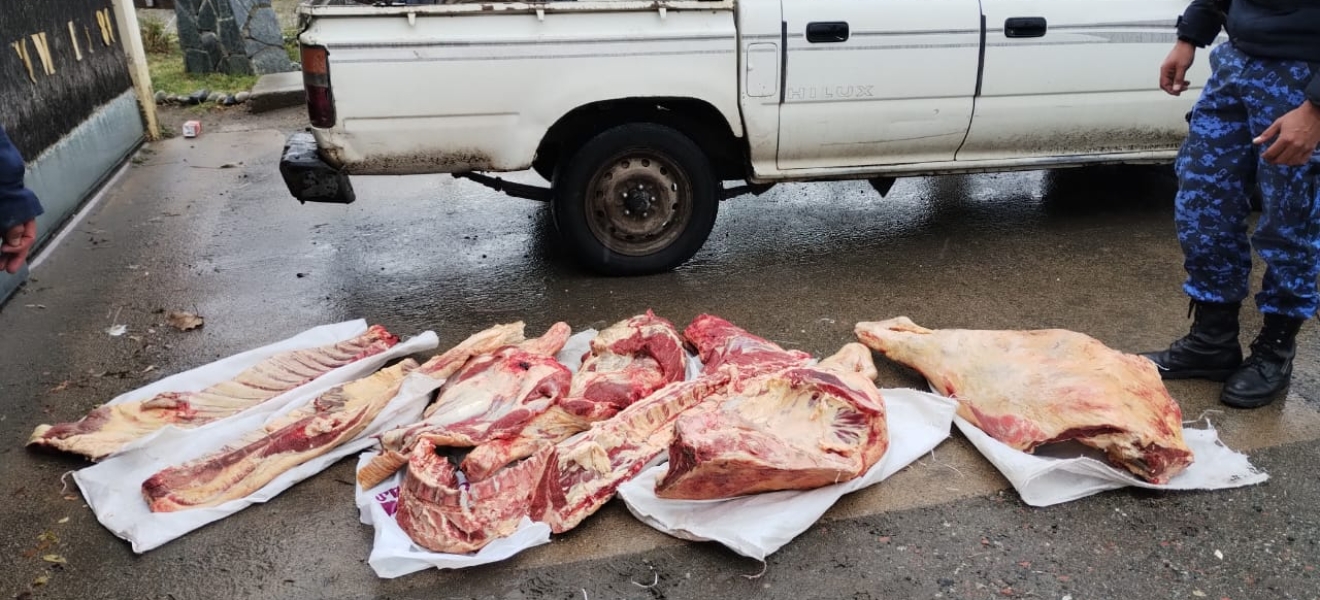 Bariloche: Brigada Rural decomisó un ternero faenado y transportado irregularmente