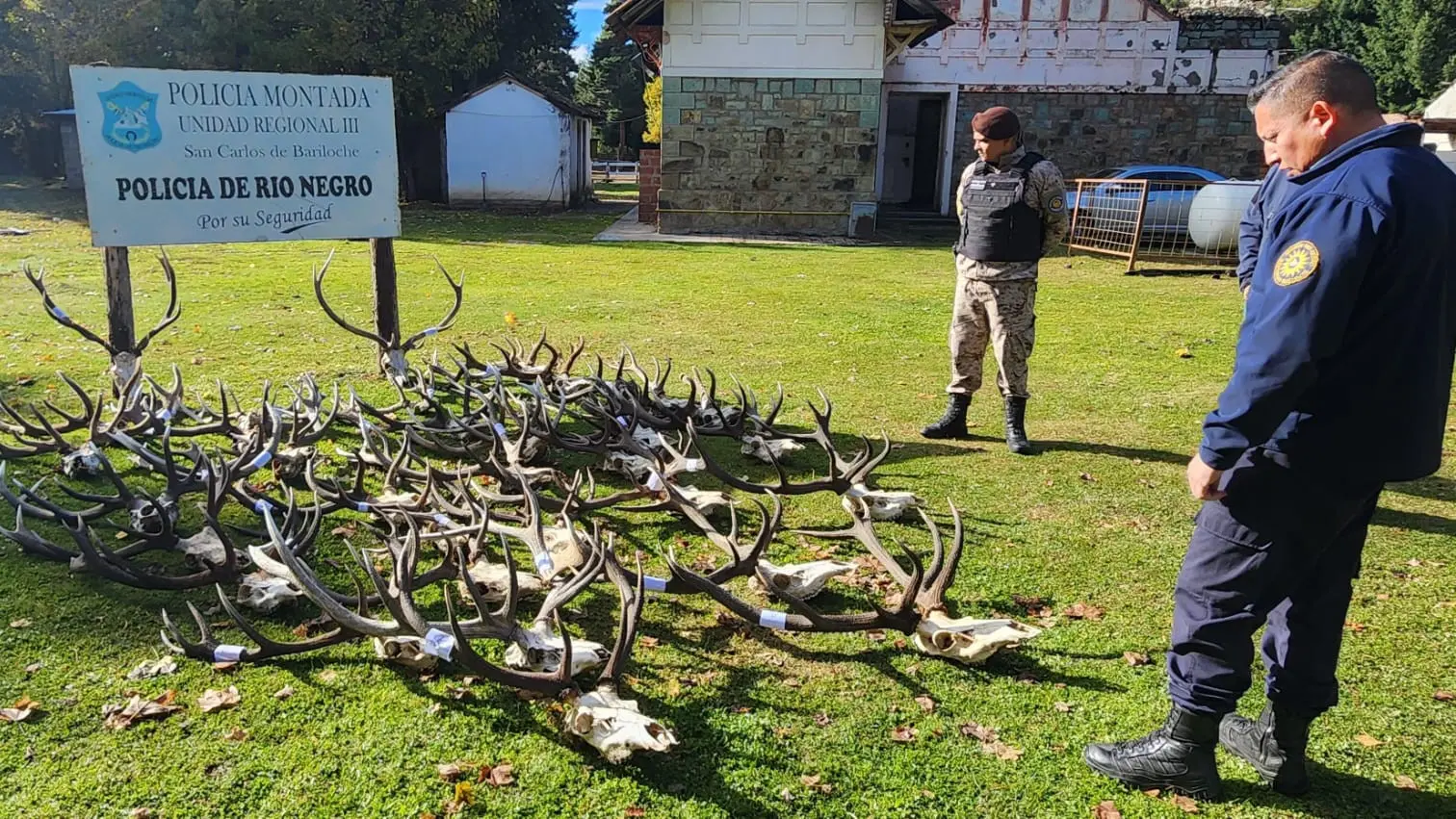 Bariloche: desbaratan una banda que cazaba ciervos con documentación adulterada