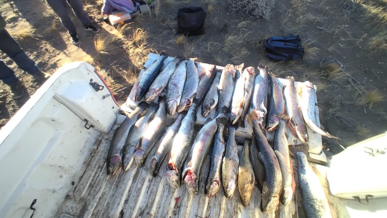 Guardafaunas detectaron actividad ilícita de pescadores en Piedra del Águila