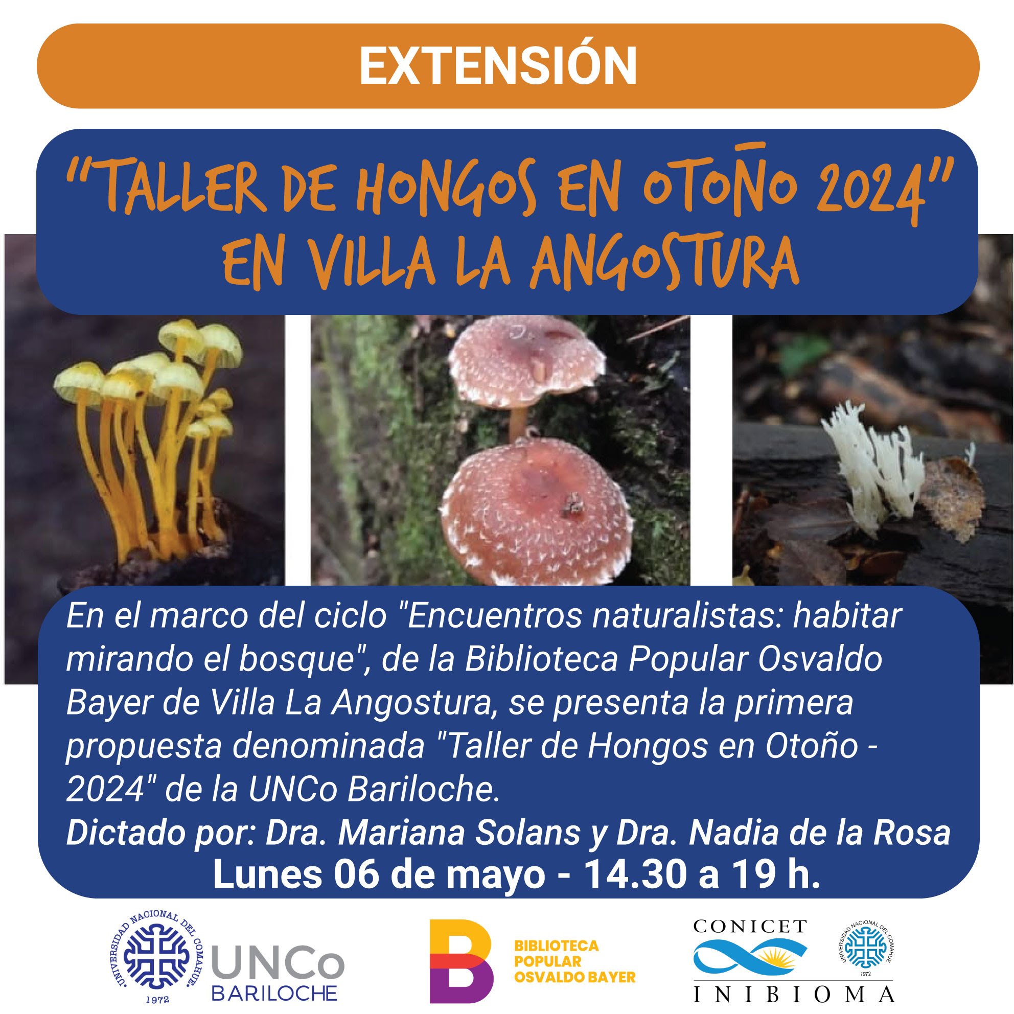 Taller de Hongos en Otoño 2024 en Villa La Angostura