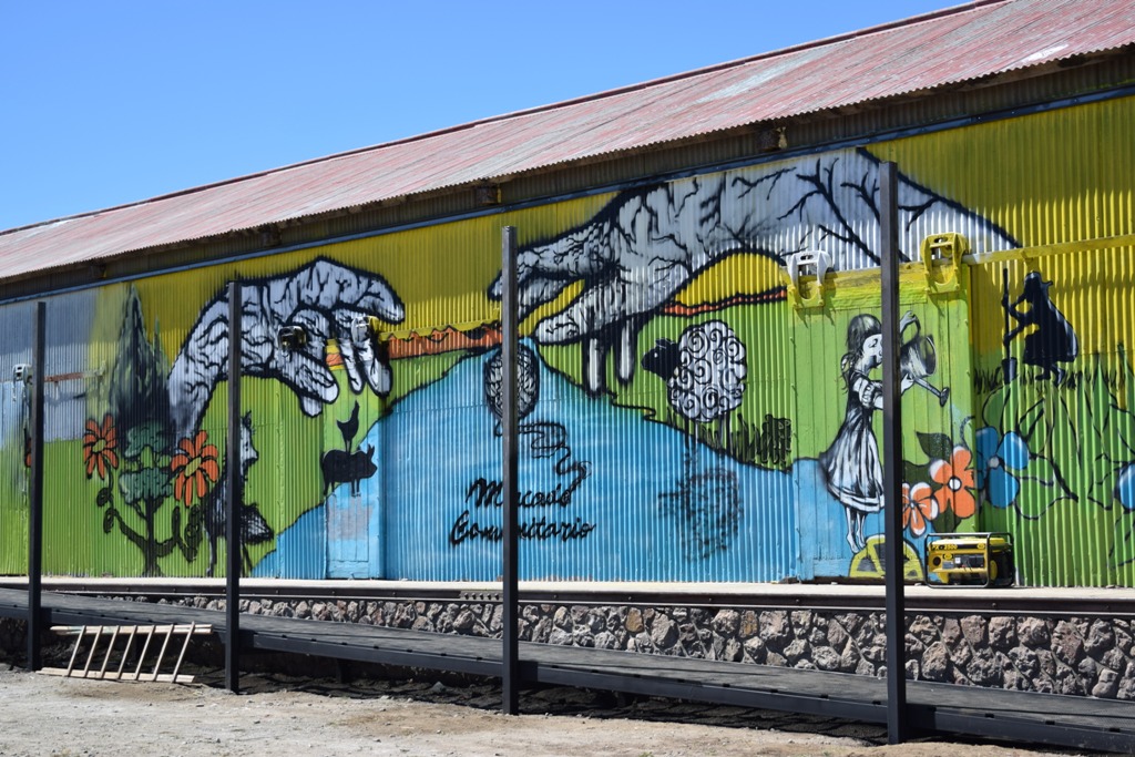 Capón lanar en el Mercado Comunitario Bariloche