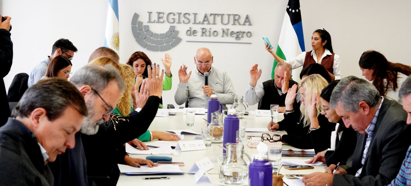 Río Negro: Comisión de Asuntos Sociales aprueba proyectos presentados