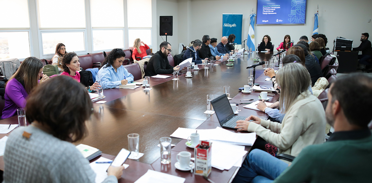 Primera reunión plenaria para la erradicación del trabajo infantil en Neuquén