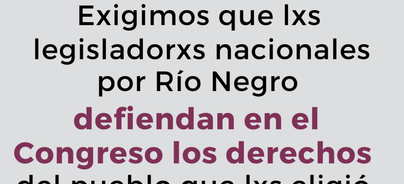 Docentes de Río Negro: apoyar la Ley Bases significa un retroceso para el federalismo