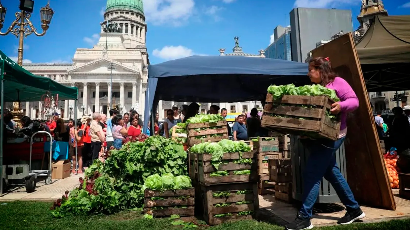 Feriazo en el Congreso por menos libre mercado y más agricultura familiar