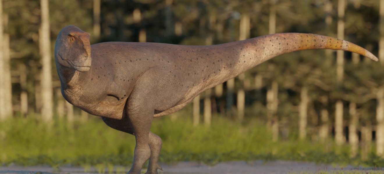 Descubren nueva especie de dinosaurio que vivió en la Patagonia hace 69 millones de años