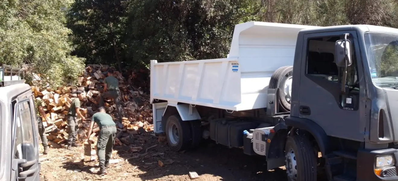 Río Negro avanza en una nueva política de gestión de Recursos Forestales