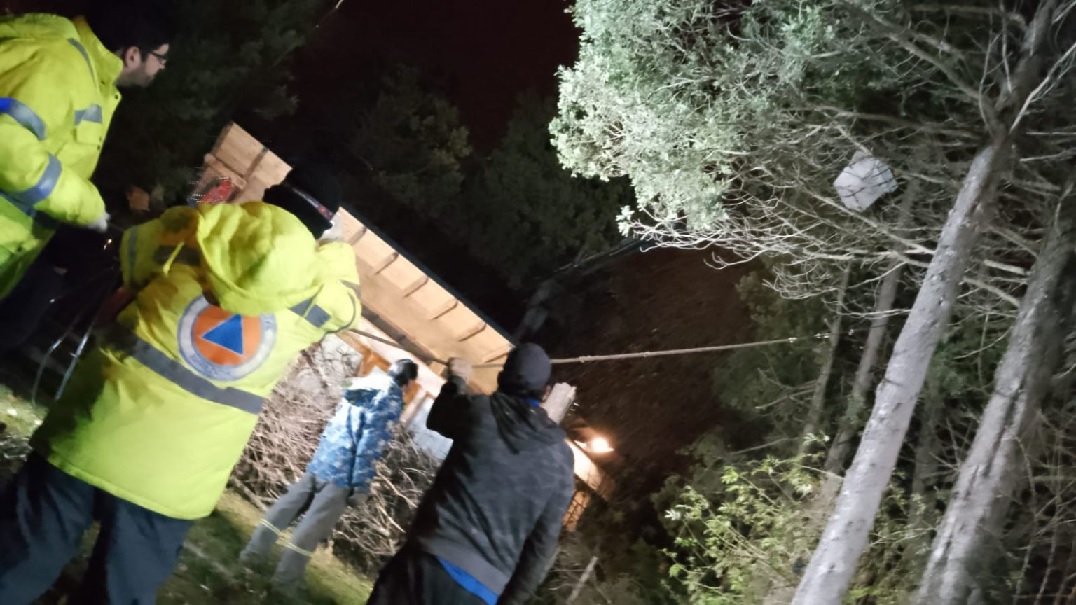 Bariloche: El Municipio derriba un árbol con peligro de derrumbe