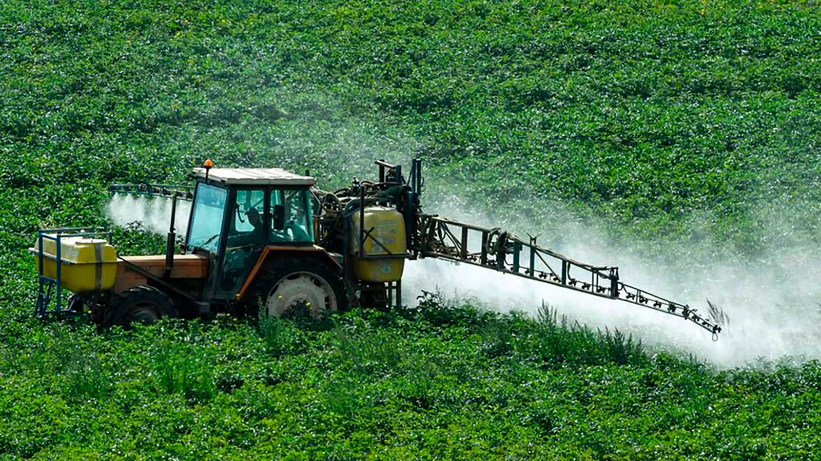 Ordenan que la Justicia Federal investigue el uso de agrotóxicos sobre Pueblos Indígenas