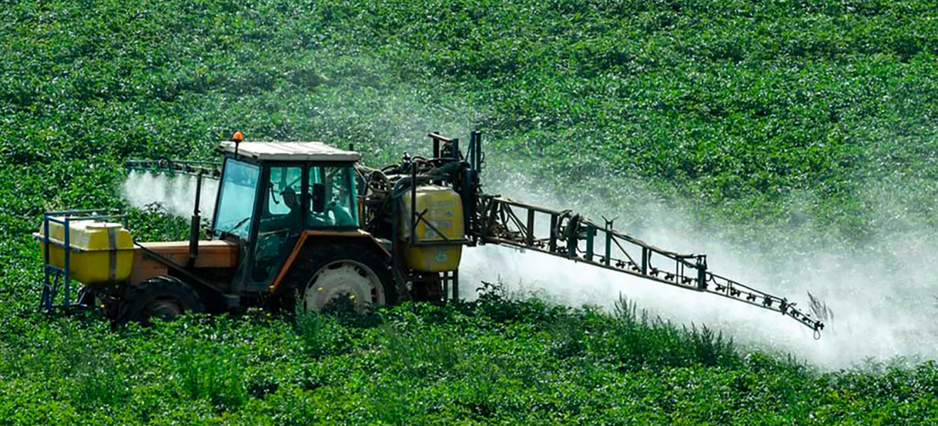 Ordenan que la Justicia Federal investigue el uso de agrotóxicos sobre Pueblos Indígenas