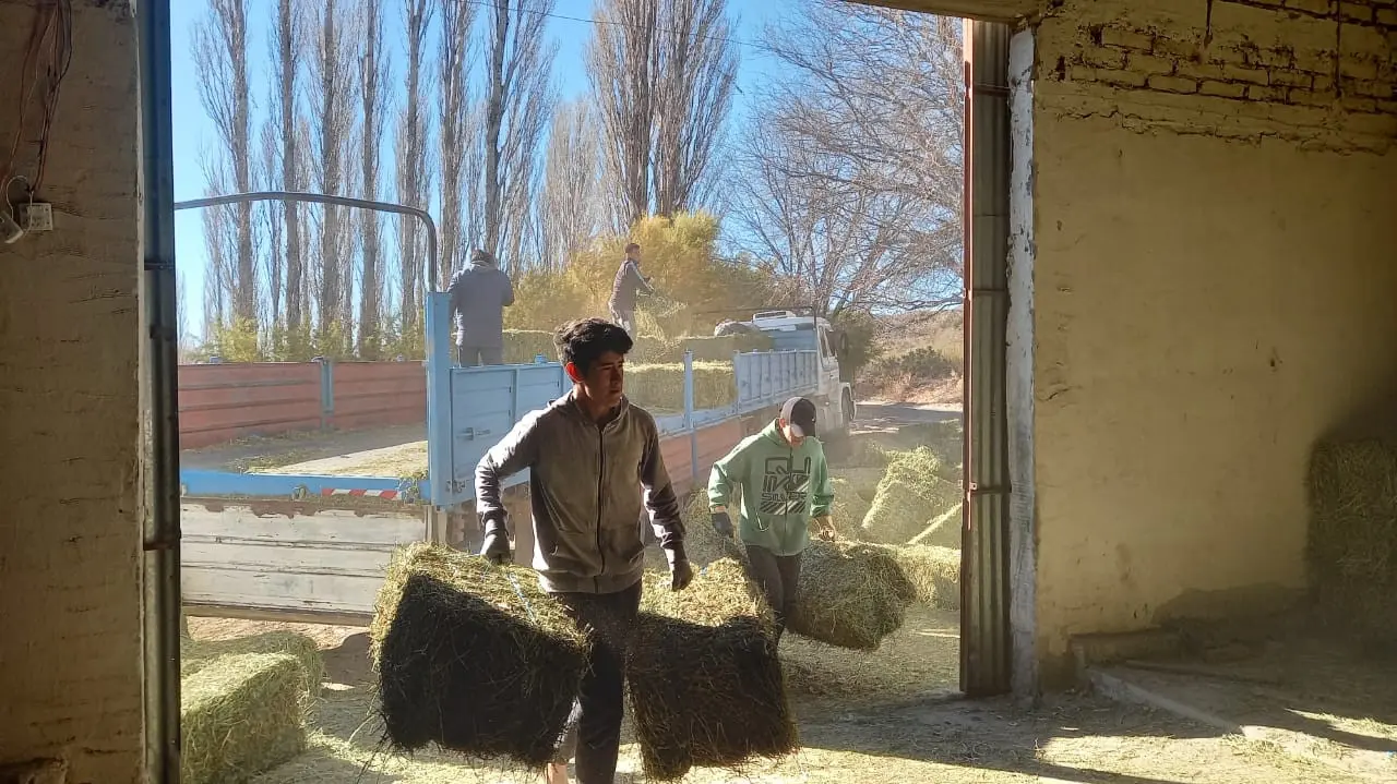 Comisiones de fomento RN: llegan los fardos a los productores de subsistencia