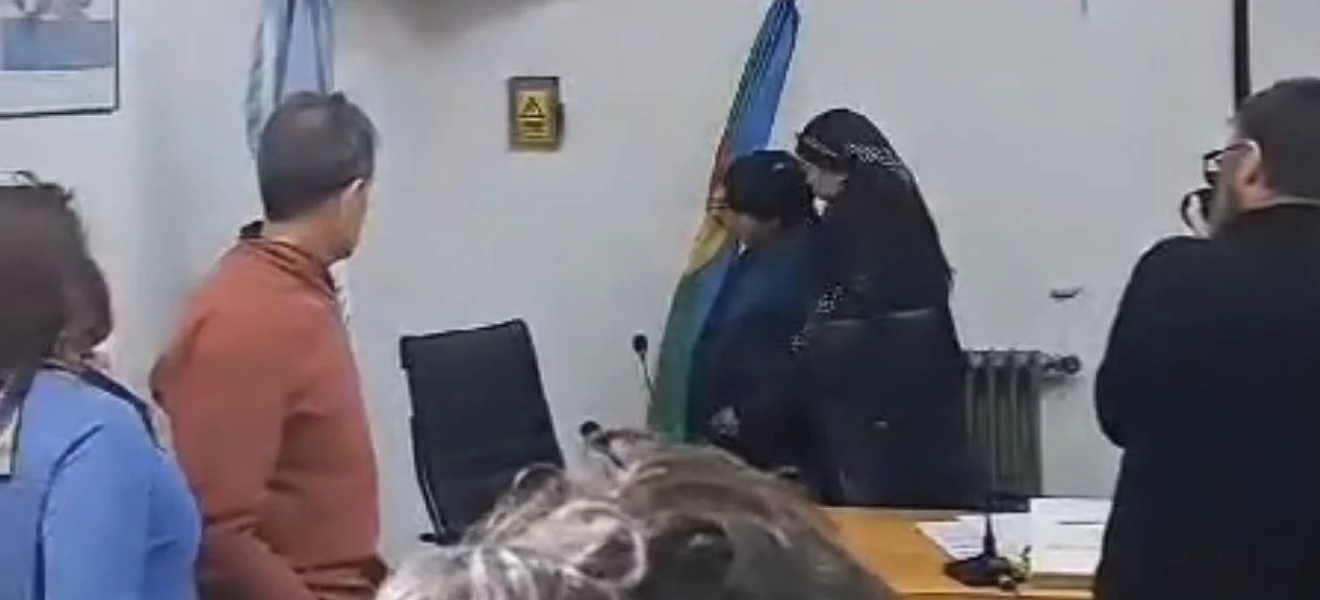 El Concejo de San Martin de los Andes incorporó la bandera Mapuche