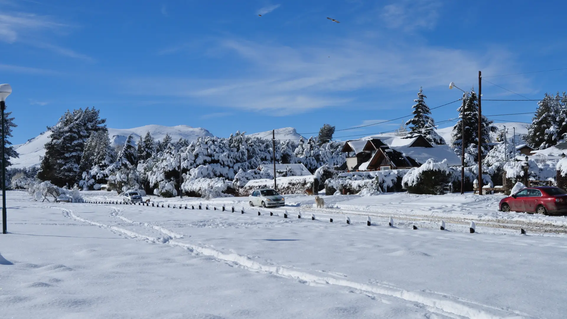 Invierno en Dina Huapi: una alternativa que une naturaleza y tranquilidad