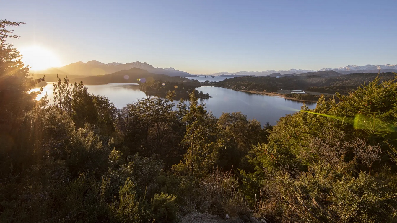 Río Negro avanza en vistas a la implementación de Ley Nacional de Bosques