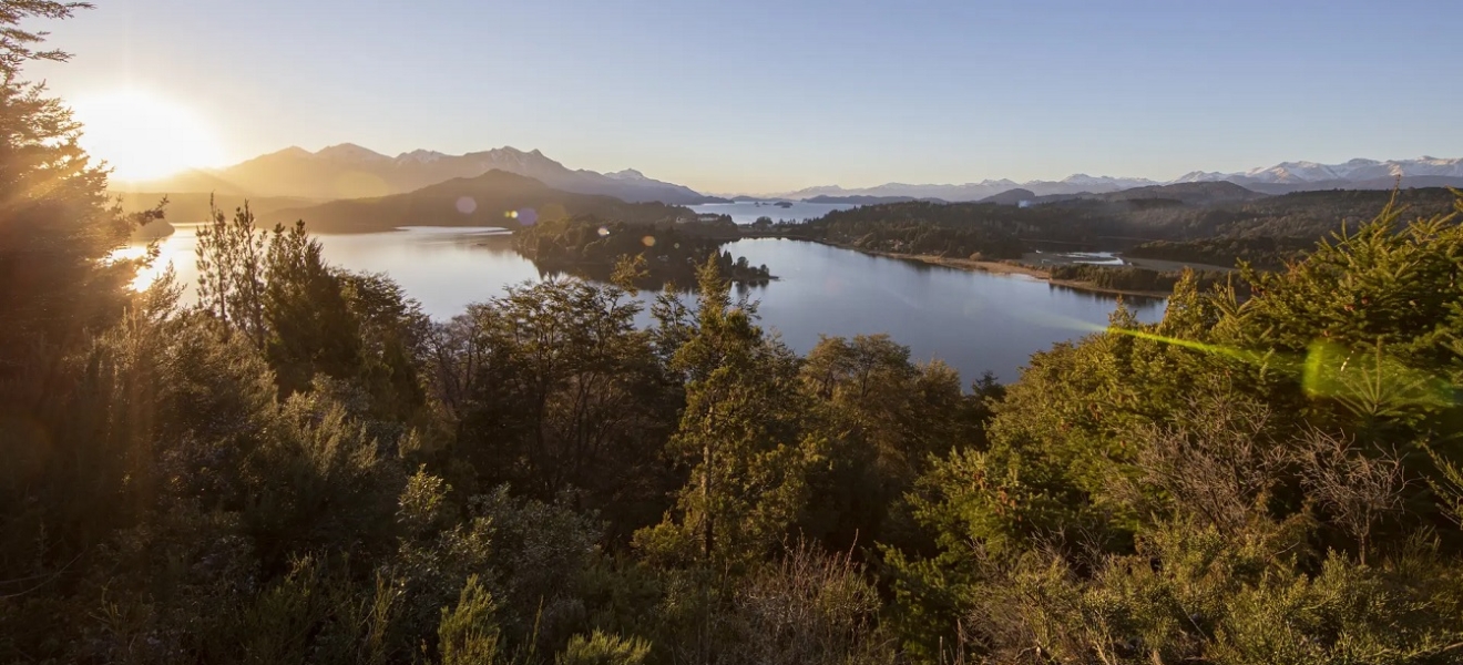 Río Negro avanza en vistas a la implementación de Ley Nacional de Bosques
