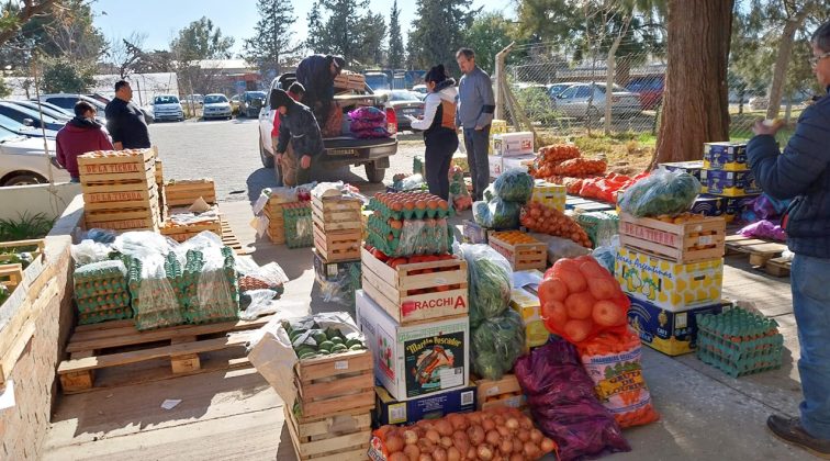 Neuquén: Provincia continúa la entrega de frutas y verduras de la zona