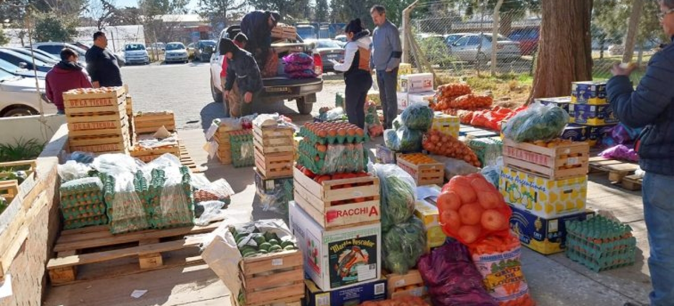 Neuquén: Provincia continúa la entrega de frutas y verduras de la zona