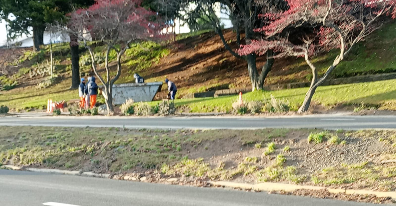 Bariloche: Trabajos de limpieza en Av. 12 de Octubre