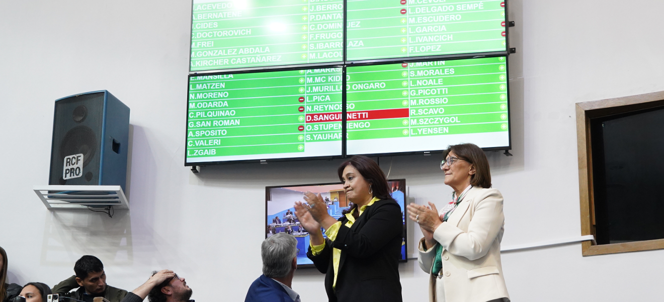 (((video))) La Legislatura de Río Negro aprueba por mayoría la Adhesión al RIGI