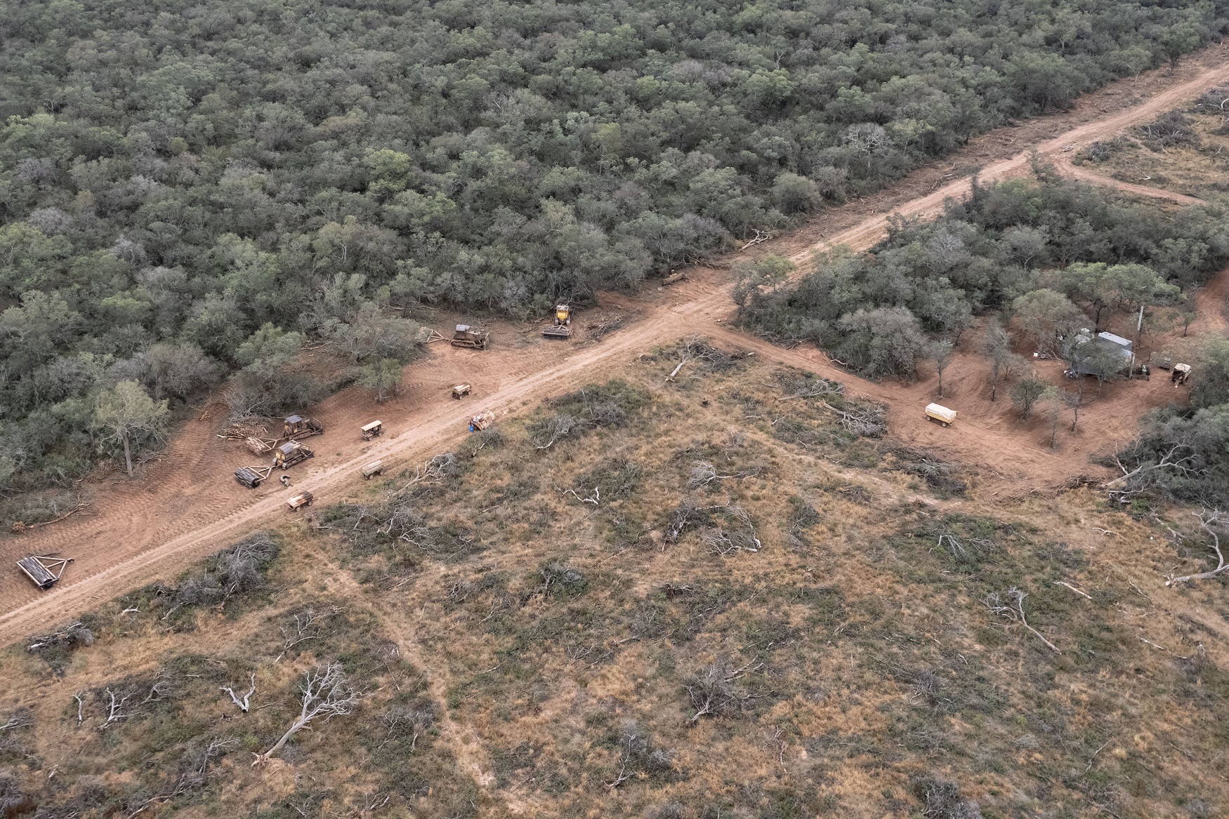 (((video))) Greenpeace denuncia a los dueños de Manaos por un gigantesco desmonte de 10.000 hectáreas